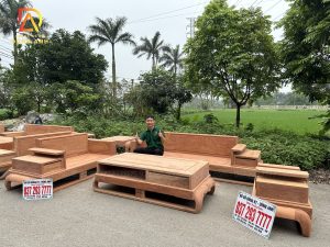 Bộ Sản phẩm Sofa Zito 5 món Chân đùi gà V.I.P PRO - gỗ Hương Đá